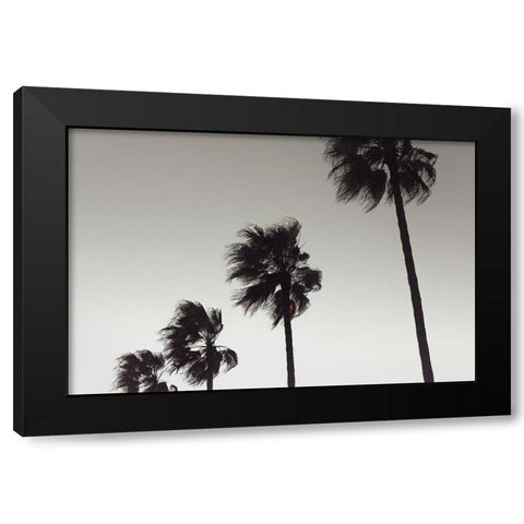 Palm_004 Black Modern Wood Framed Art Print with Double Matting by 1x Studio III