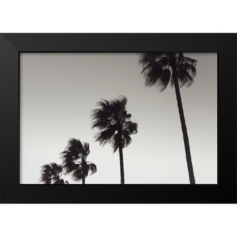 Palm_004 Black Modern Wood Framed Art Print by 1x Studio III