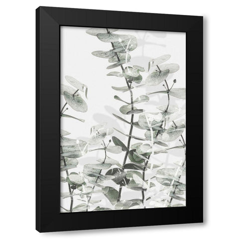 Eucalyptus_001 Black Modern Wood Framed Art Print by 1x Studio III