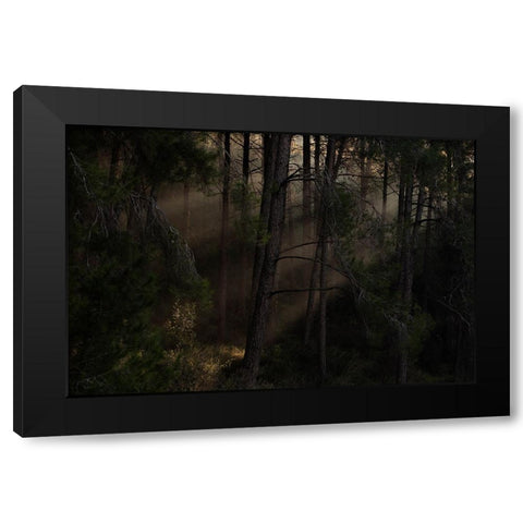 The Magic wood Black Modern Wood Framed Art Print with Double Matting by Amar, Dov