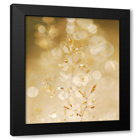 A bit closer 2/02 Black Modern Wood Framed Art Print with Double Matting by Limberg, Huib