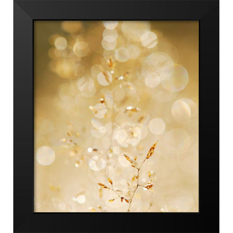 A bit closer 2/02 Black Modern Wood Framed Art Print by Limberg, Huib