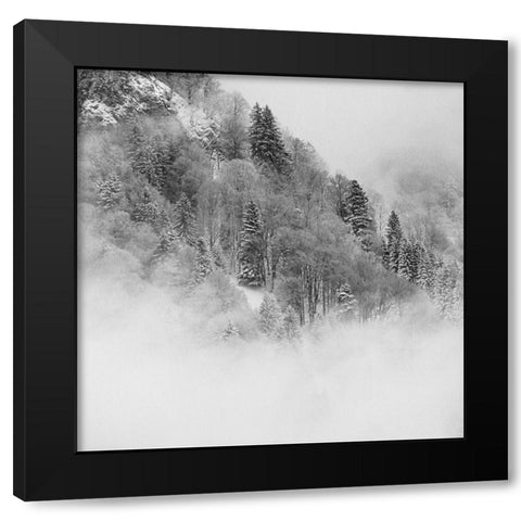 the foggy mountain Black Modern Wood Framed Art Print by Wasinger, Renate