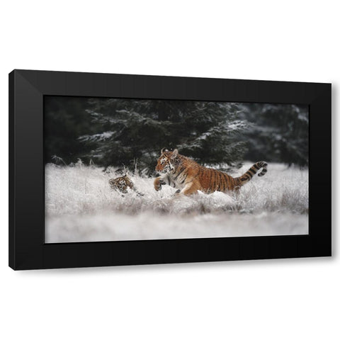 Joy On The Snow Black Modern Wood Framed Art Print by Firesova, Michaela