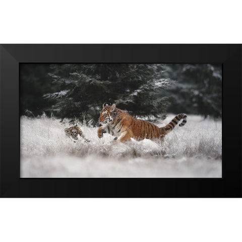 Joy On The Snow Black Modern Wood Framed Art Print by Firesova, Michaela