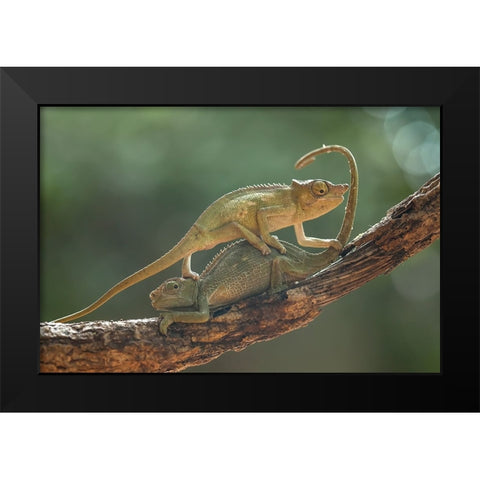 I Am Sorry My Bro Black Modern Wood Framed Art Print by Gapur Dayak, Abdul