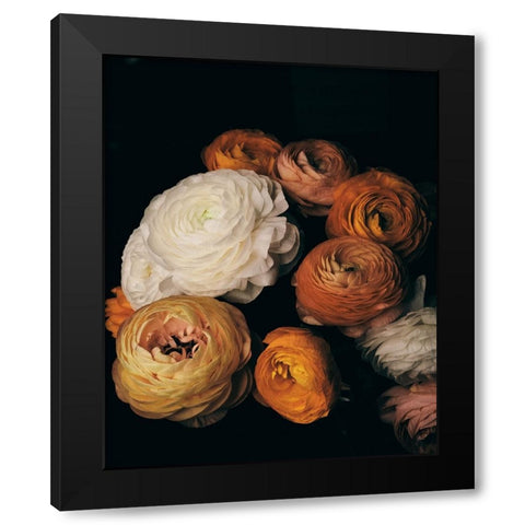 Ranunculus Black Modern Wood Framed Art Print with Double Matting by FiguraNYC Photography