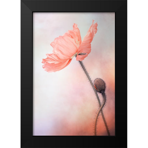 Tenderness Black Modern Wood Framed Art Print by Lenka