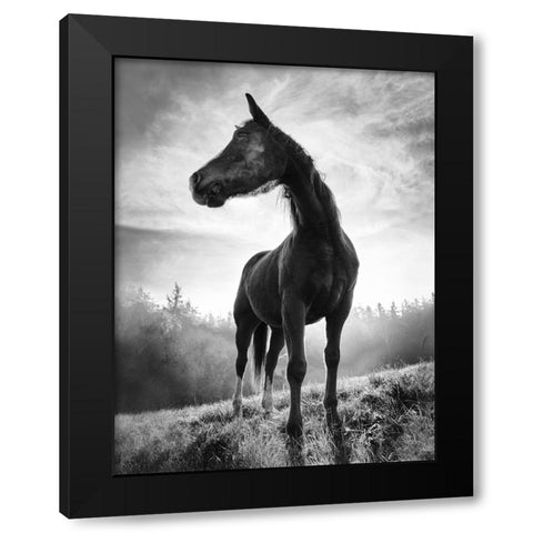 Backlight Horse Black Modern Wood Framed Art Print with Double Matting by Accordini, Alessandro