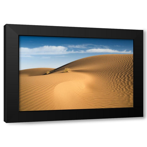 Curves Black Modern Wood Framed Art Print by Babaei, Hosein