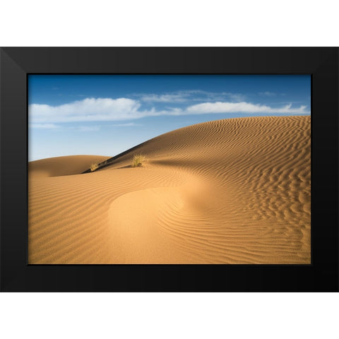 Curves Black Modern Wood Framed Art Print by Babaei, Hosein