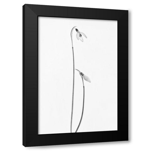 Springtime Black Modern Wood Framed Art Print with Double Matting by Gronkjar, Lotte