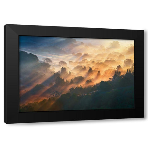 Morning Light Black Modern Wood Framed Art Print by Li, Ryan