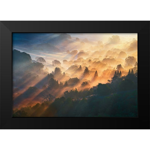 Morning Light Black Modern Wood Framed Art Print by Li, Ryan