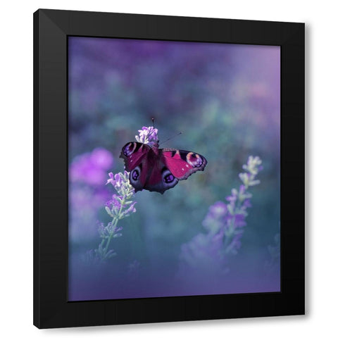 Queen Of Flowers...III Black Modern Wood Framed Art Print by Nan, Juliana