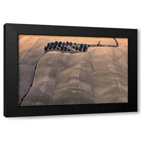 Oasis Black Modern Wood Framed Art Print by Kravanja, Jure