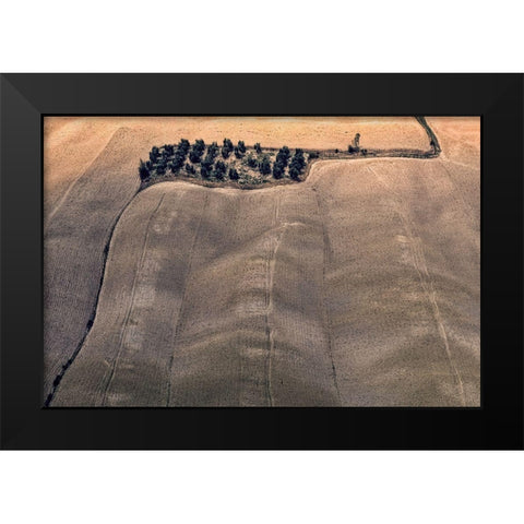 Oasis Black Modern Wood Framed Art Print by Kravanja, Jure