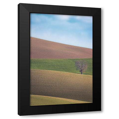 S.T. 025 Black Modern Wood Framed Art Print by Gray, Dorian