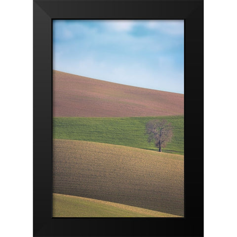 S.T. 025 Black Modern Wood Framed Art Print by Gray, Dorian