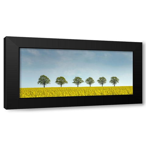 rape Black Modern Wood Framed Art Print with Double Matting by Uhlig, Dieter