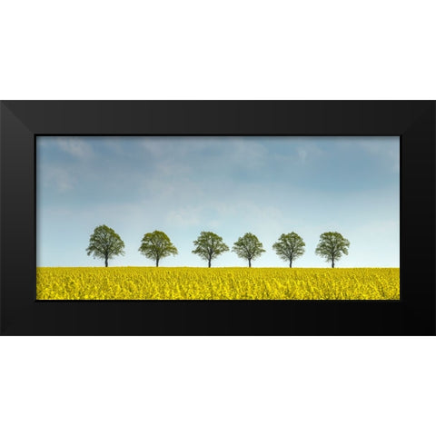 rape Black Modern Wood Framed Art Print by Uhlig, Dieter