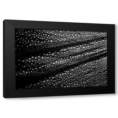 Cultured Rain Pearls Black Modern Wood Framed Art Print by Ciappara Lrps., Simon