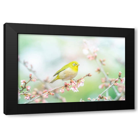 The Arrival of Spring Black Modern Wood Framed Art Print by Suzuki, Takashi