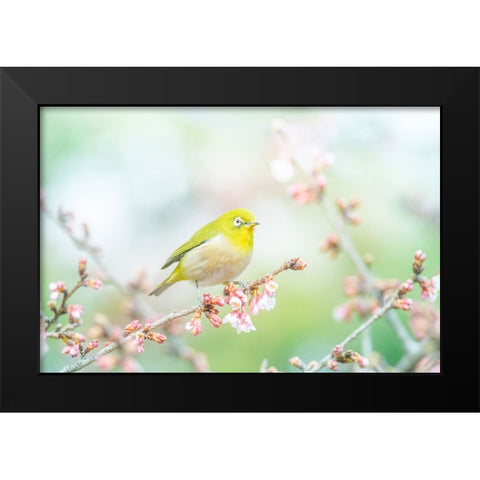 The Arrival of Spring Black Modern Wood Framed Art Print by Suzuki, Takashi