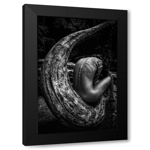 Wild Black Modern Wood Framed Art Print by Mannini, Roberto