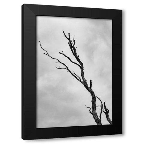 Im not leaving without a fight Black Modern Wood Framed Art Print with Double Matting by Wallenstein, Nicolau