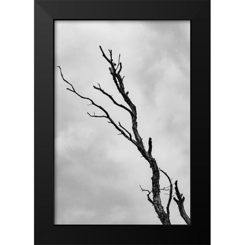 Im not leaving without a fight Black Modern Wood Framed Art Print by Wallenstein, Nicolau