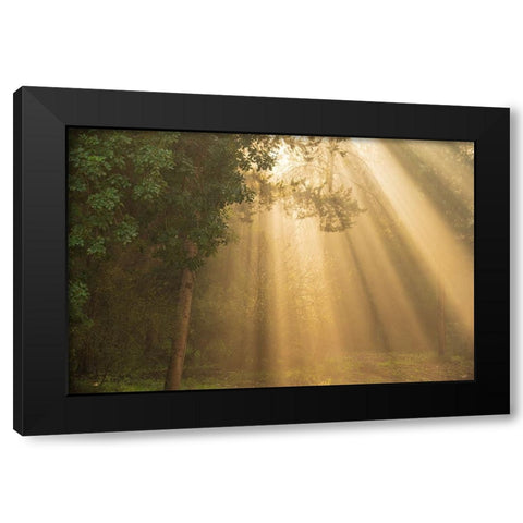 ray of light Black Modern Wood Framed Art Print with Double Matting by Moshe, Mallal