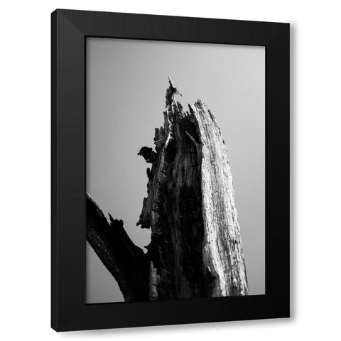 Wetlands 1 Black Modern Wood Framed Art Print by Perry, Lewis
