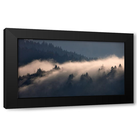 Black Forest II Black Modern Wood Framed Art Print with Double Matting by Schade, Peter