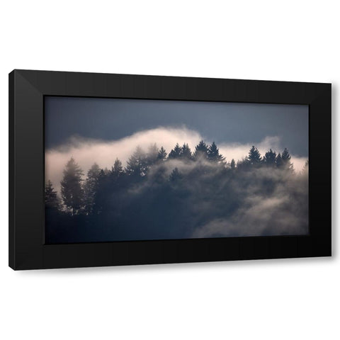 Black Forest I Black Modern Wood Framed Art Print with Double Matting by Schade, Peter