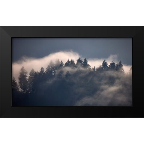 Black Forest I Black Modern Wood Framed Art Print by Schade, Peter