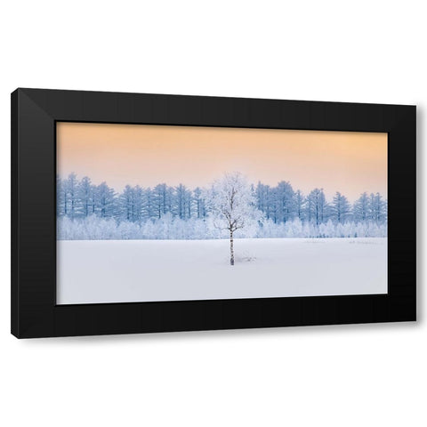 Guardian of the Angel Forest Black Modern Wood Framed Art Print by Sono, Hidenori