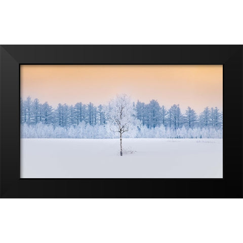 Guardian of the Angel Forest Black Modern Wood Framed Art Print by Sono, Hidenori