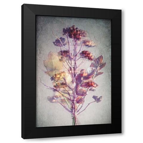 Before Winter Black Modern Wood Framed Art Print by Kiral, Cicek