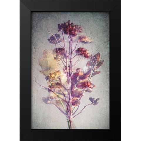 Before Winter Black Modern Wood Framed Art Print by Kiral, Cicek