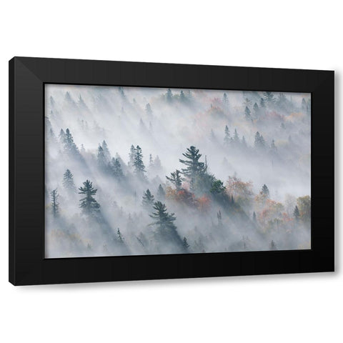The Fog of Silence, The Fog of Illusion Black Modern Wood Framed Art Print with Double Matting by Zhao, Jennifer