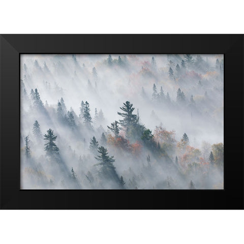 The Fog of Silence, The Fog of Illusion Black Modern Wood Framed Art Print by Zhao, Jennifer