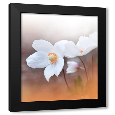 The Sound Of Innocence.. Black Modern Wood Framed Art Print by Nan, Juliana