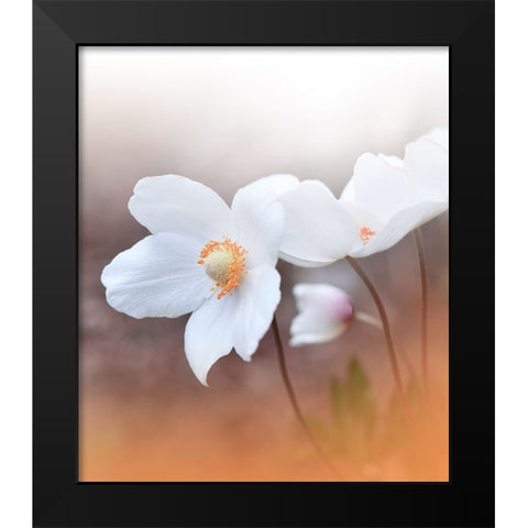 The Sound Of Innocence.. Black Modern Wood Framed Art Print by Nan, Juliana