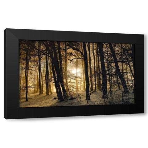 Winter Morning Black Modern Wood Framed Art Print by Maier, Norbert