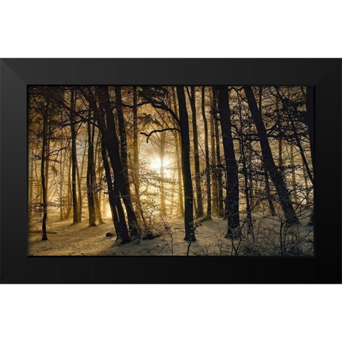 Winter Morning Black Modern Wood Framed Art Print by Maier, Norbert