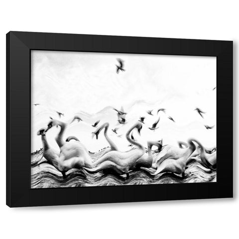 Swans waves Black Modern Wood Framed Art Print by Dinca, Silvia