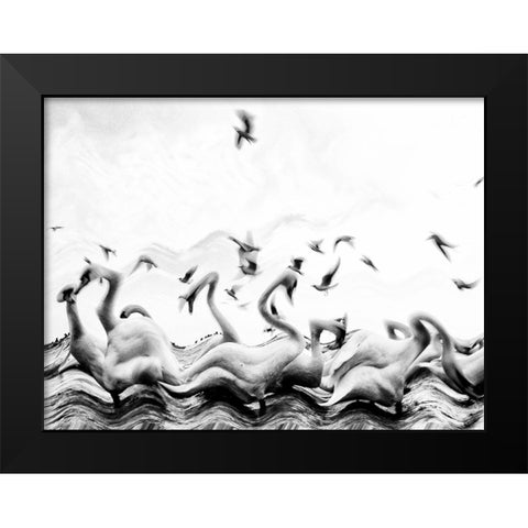 Swans waves Black Modern Wood Framed Art Print by Dinca, Silvia