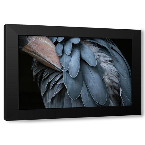 Feather Black Modern Wood Framed Art Print with Double Matting by Aoki, Juri