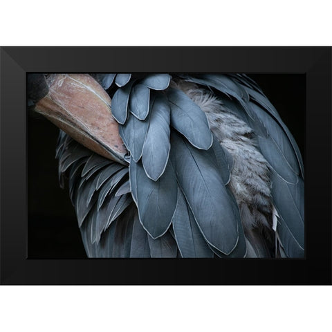 Feather Black Modern Wood Framed Art Print by Aoki, Juri